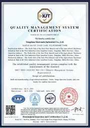 ISO 9001 Quality Management System Certification